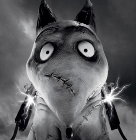 #GostoAssim by Roberto Rodrigues: Disney e Tim Burton em Frankenweenie um filme divertido e diferente