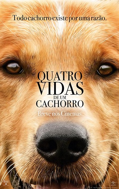 QUATRO VIDAS DE UM CACHORRO poster portal fama 260117